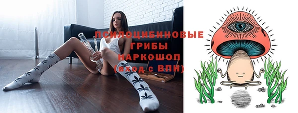ПСИЛОЦИБИНОВЫЕ ГРИБЫ Аркадак