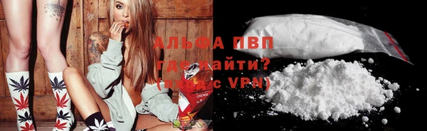 ПСИЛОЦИБИНОВЫЕ ГРИБЫ Аркадак