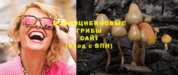ПСИЛОЦИБИНОВЫЕ ГРИБЫ Аркадак